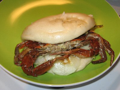 Softshell2
