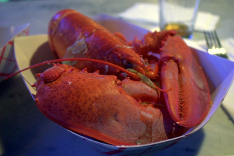 Rocky sullivan's lobster front view