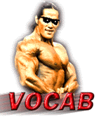 Vocab