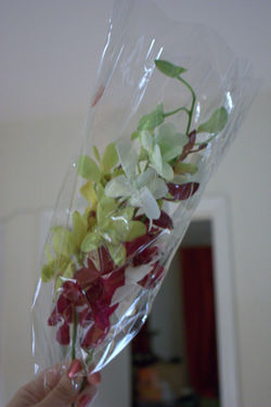Valentine's day flowers from sripraphai