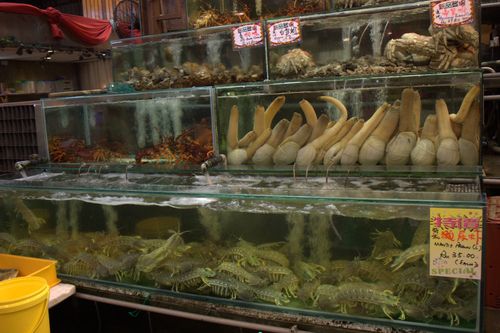 Bali hai live mantis prawns & geoducks