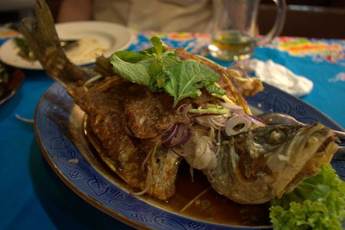 Bali hai sea bass