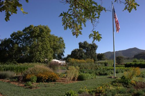 French laundry garden