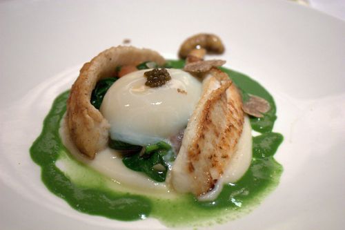 Graffit dover sole Graffit dover sole
