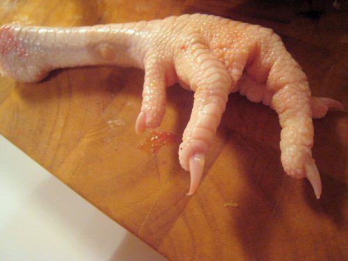 Chicken foot