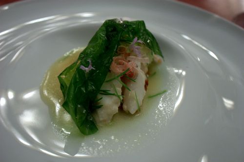 Town house turbot cooked with cream & spruce Town house turbot cooked with cream & spruce