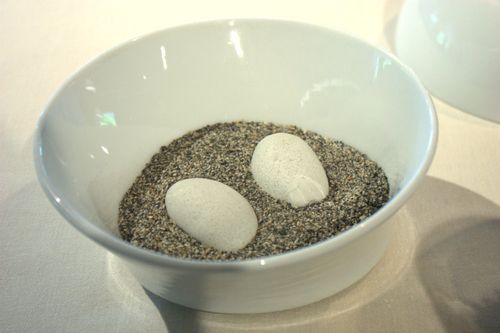 Mugaritz piedras comestibles