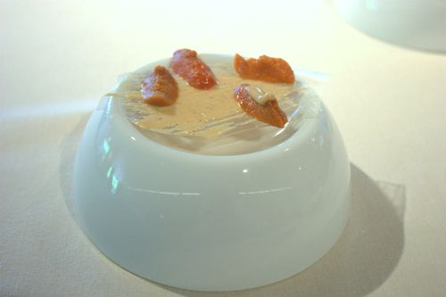 Mugaritz cristal de almidón y azúcar manchado con praliné y coraels del buey de mar
