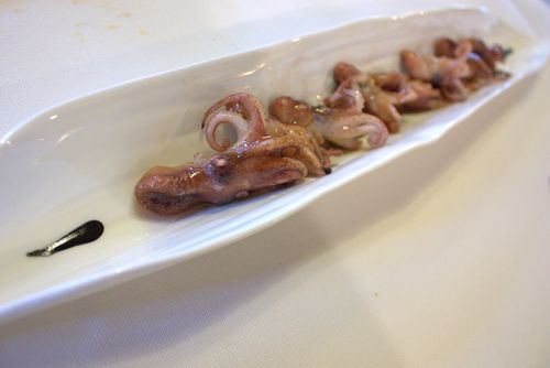 Etxebarri baby octopus