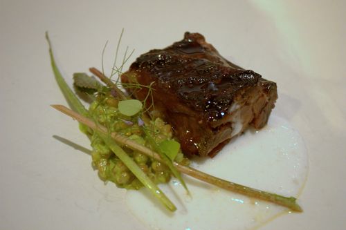 Castagna lamb collar, wheat berries, wheat grass, buttermilk