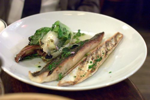 Acme mackerel