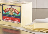 Land-o-lakes-american-cheese