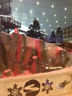 Ski slope mall of the emirates