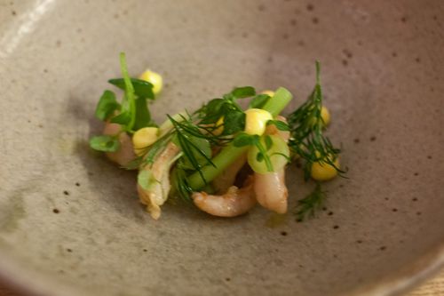 Aska shrimp, cucumber, dill, rapeseed oil