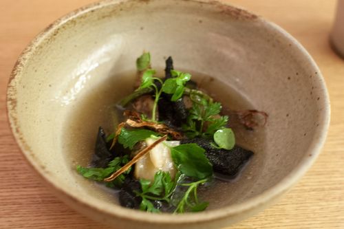 Aska salsify, lichen, autumn leaves