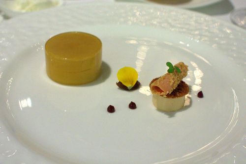 Onyx marinated goose liver with plum textures