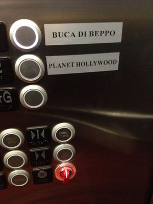 Buca elevator
