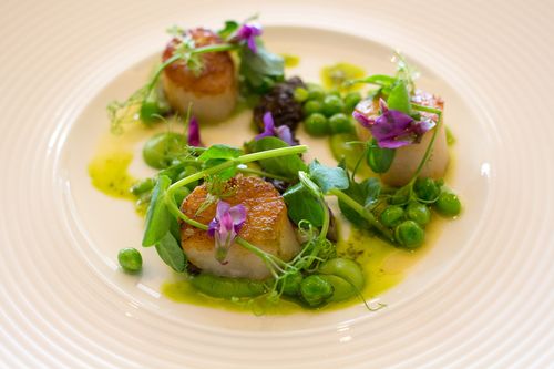 Fiskebaren scallops, peas, granola, capers, morels, dill vinaigrette