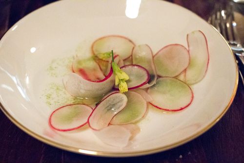 Luksus radish, razor clam, cucumber, bone marrow